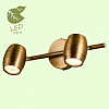 Спот Lussole GRLSP-9567 100_100_1734583