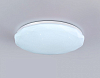 Накладной светильник Ambrella Light FZ FZ417 100_100_2181218