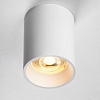 Накладной светильник Lightstar Rullo 213436 100_100_1721620