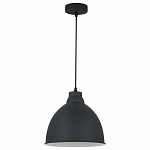 Подвесной светильник Arte Lamp Braccio A2055SP-1BK 250_100_1822623