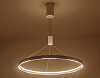 Подвесной светильник Ambrella Light FL FL5855 100_100_2016368