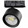 Светильник на штанге Lightstar Alta Pro A5547QT 100_100_3238912