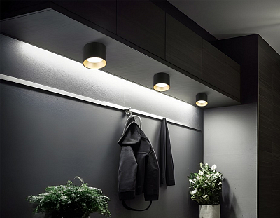 Накладной светильник Ambrella Light TN TN52887 400_400_2029708