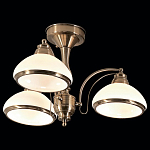 Люстра на штанге Citilux Краков CL401133 250_100_2112487