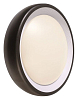 Накладной светильник Deko-Light Canis 731043 100_100_1928664