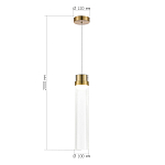 SL6236.303.01 Светильник подвесной ST-Luce Латунь/Прозрачный LED 1*12W 4000K ШАМПАНЬ 250_100_2948934