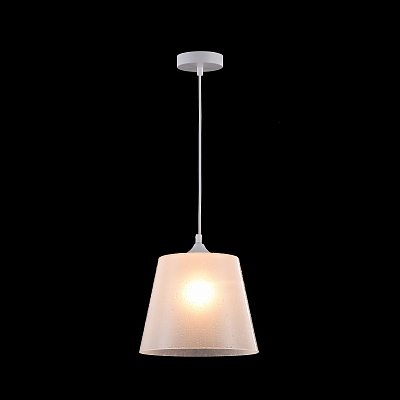 Подвесной светильник Maytoni P528PL-01W 400_400_858421
