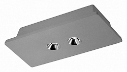Накладной светильник Loft it Architect OL1072-GH/2 250_100_Array