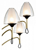 Люстра на штанге Vele Luce Oro VL5654P16 100_100_1910248