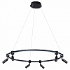 Подвесной светильник Arte Lamp Ring A2186SP-1BK 100_100_2740553