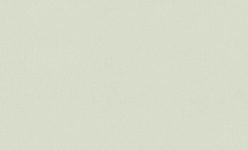 A101216 Обои ARTSIMPLE (1*6) 10,00x1,06 винил на флизелине 250_100_Array