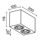 Потолочный светильник Technical C017CL-02B 250_100_3146862