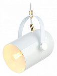 Подвесной светильник Ambrella Light TR TR8205 250_100_Array