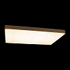 Накладной светильник Loft it Flims 10228/E 100_100_3154563