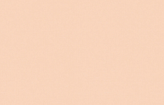 ARTS17 003 Обои Artsimple (1*6) 10,05x1,00 флизелин 250_100_Array