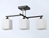 Люстра на штанге Ambrella Light TR TR303114 100_100_2017788
