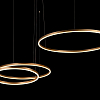 Подвесной светильник Loft it Ring 10017/3L 100_100_1845778