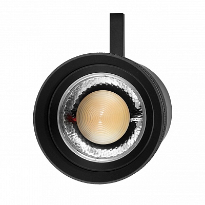 Светильник на штанге Lightstar Canno Pro 304407 400_400_1389093