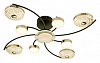 Потолочная люстра Escada Liberta 10208/8LED 100_100_2676218