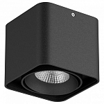 Накладной светильник Lightstar Monocco 212517 250_100_1711487