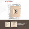 ТВ-розетка без рамки Arte Milano am-206 206.43-1.shampan 100_100_2167442