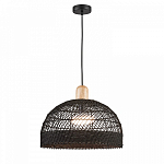 Подвесной светильник Favourite Plat 4461-1P 250_100_1769808