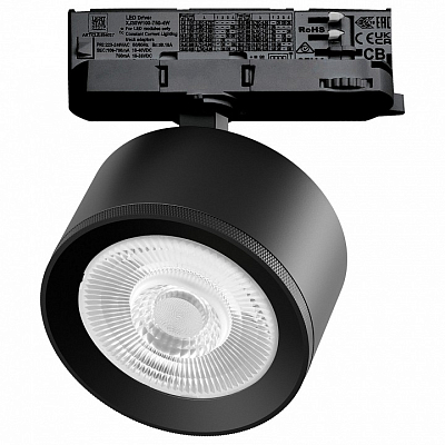 Светильник на штанге Lightstar Alta Pro A5547QT60G 400_400_3238913