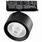 Светильник на штанге Lightstar Alta Pro A5547QT60G