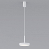 Подвесной светильник Elektrostandard Plate a065412 100_100_1776126