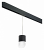 Подвесной светильник Lightstar Rullo PRORP348786 100_100_2460337