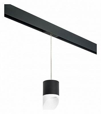 Подвесной светильник Lightstar Rullo PRORP348786 400_400_2460337