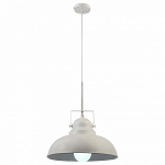Подвесной светильник Arte Lamp Martin A5213SP-1WG 250_100_1822075