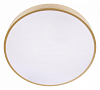 Накладной светильник Loft it Flims 10228/A 100_100_1849620