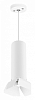 Подвесной светильник Lightstar Rullo RP496436 100_100_3075285