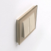 Рамка на 1 пост Werkel Favorit (шампань) W0011111 100_100_2128756