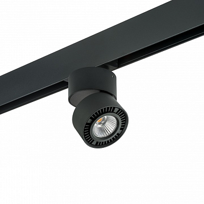 Светильник на штанге Lightstar Forte Muro PRO213817 400_400_2470994