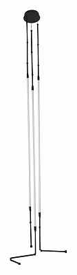 Подвесная люстра Arte Lamp Klimt A2850SP-38BK 400_400_1826180