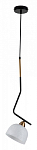 Подвесной светильник Indigo Attimo 10005/1P Black 250_100_1969900