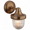 Бра Covali  WL-38001 100_100_2293807
