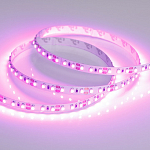 Лента светодиодная Arlight RT открытая 015897(2) 250_100_Array