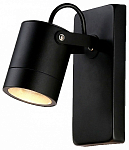 Светильник на штанге Ambrella Light ST ST3883 250_100_Array