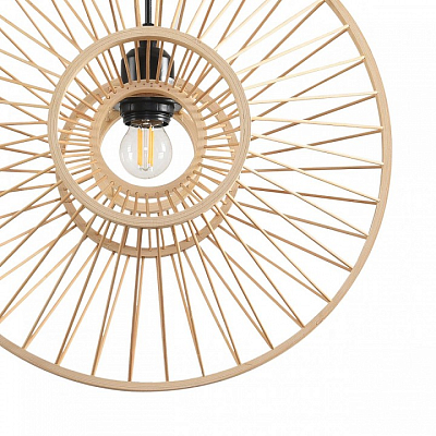 Подвесной светильник Lumion ECO 8383/1 400_400_2686989
