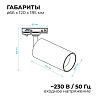 Светильник на штанге Apeyron Electrics  25-03 100_100_2178874