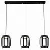 Подвесной светильник Indigo Capsula 14027/6P Black 100_100_1971638