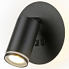 Бра Ambrella Light FW FW2463 100_100_2018711