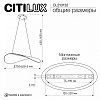 Подвесной светильник Citilux SKATT CL213132 100_100_1381065