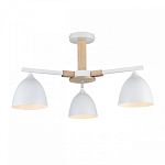 Люстра на штанге Lumion Colange 8095/3C 250_100_1864919