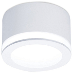 Накладной светильник Ambrella Light TN TN265 250_100_Array