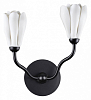 Бра Odeon Light Gardi 5090/2W 100_100_1731214