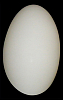 Накладной светильник Lightstar Sferetta 801600 100_100_1713570